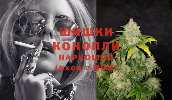 дмт Сатка