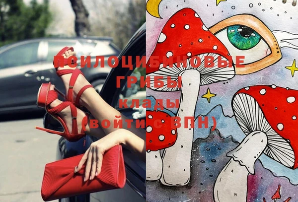 амф Сафоново