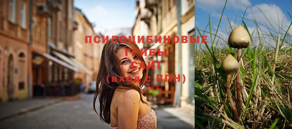 прущая мука Бородино