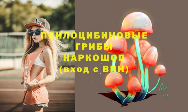 дмт Сатка
