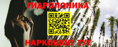 мдпв Аргун