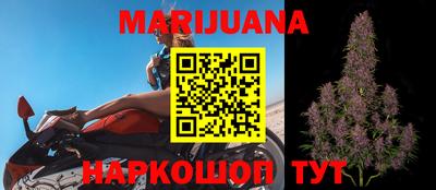 шишки Балашиха