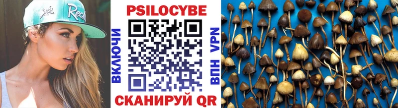 Галлюциногенные грибы GOLDEN TEACHER  где купить наркоту  Бугульма 