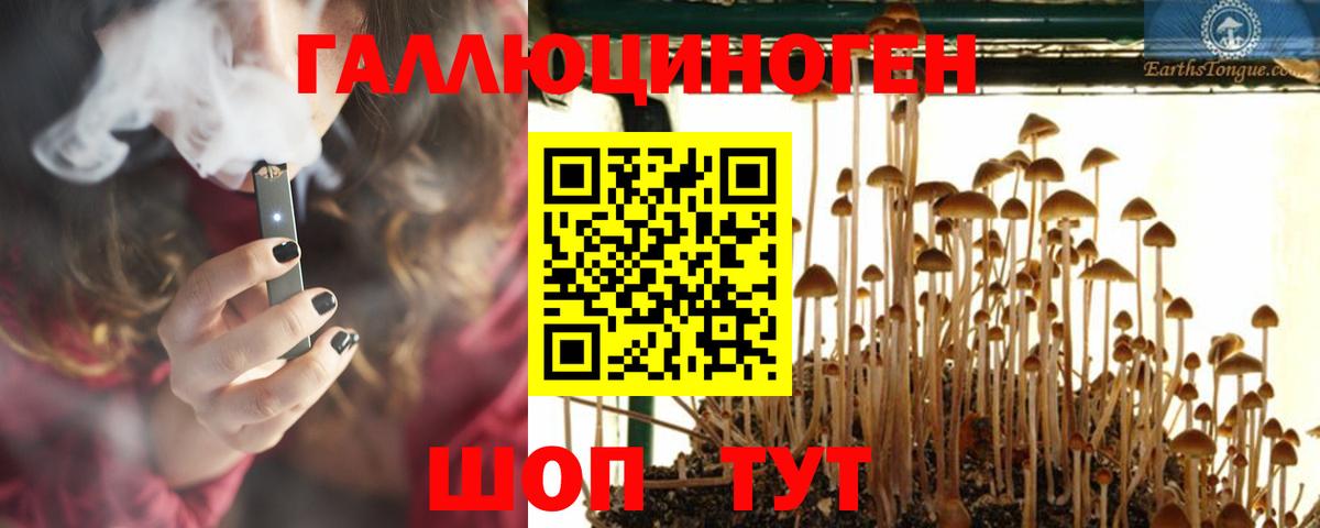 Бугульма  Галлюциногенные грибы Magic Shrooms  Вход с VPN 