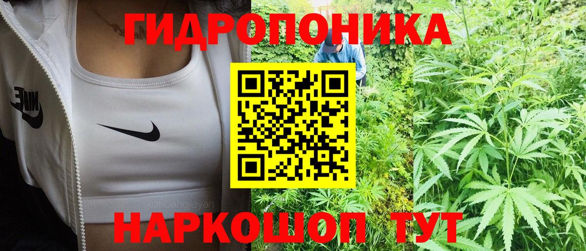 МАРИХУАНА планчик  Вход с VPN  Канабис конопля  Бошки марихуана SATIVA & INDICA  Бугульма 